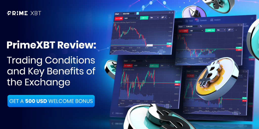 Ultimate Guide to Copy Trading on PrimeXBT Ultimate Guide to Copy Trading on PrimeXBT