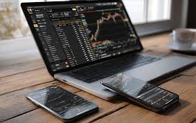 Videforex vs Pocket Option A Comprehensive Comparison for Traders 1501903969 Videforex vs Pocket Option A Comprehensive Comparison for Traders 1501903969